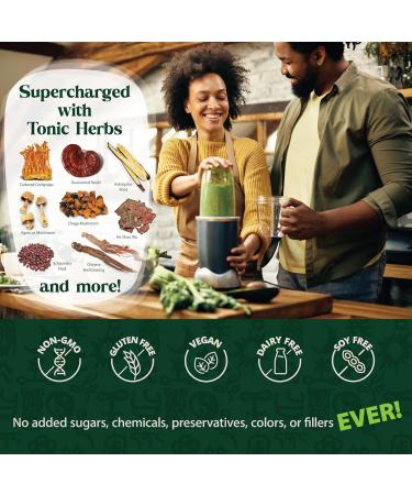 Dragon Herbs Tonic Alchemy Superfood Greens Powder with 91 Ingredients: Tonic Herbs, Ashwagandha, Mushrooms, Probiotics, Super Greens, Seaweeds, Fruits, Vegetables, Spirulina - 30 Servings 9.5 Ounce (Pack of 1) - Buy Online on GoSupps.com