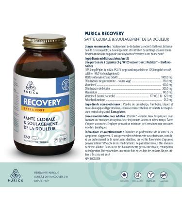 Purica Recovery Extra Strength - 360 Vegan Capsules - Joint Supplement with Glucosamine MSM and Betaine Hydrochloride Hyaluronic Acid for Knee Joint Support - Includes Vitamin C & E 360 Count (Pack of 1) - Buy Online on GoSupps.com