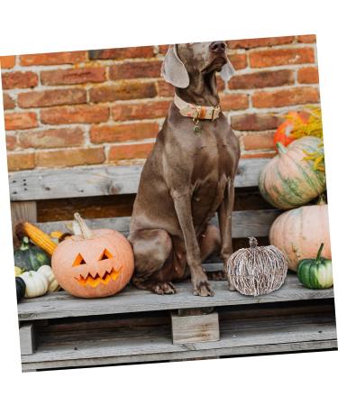Alipis 1pc Rattan Pumpkin Rustic Rattan Ornament Halloween Pumpkin Decoration Fall Pumpkin Wrapped Pumpkin Fabric Pumpkin Decoration Festival Scene Decor Halloween Decor Mini White Wreath White 20x19cm - Buy Online on GoSupps.com