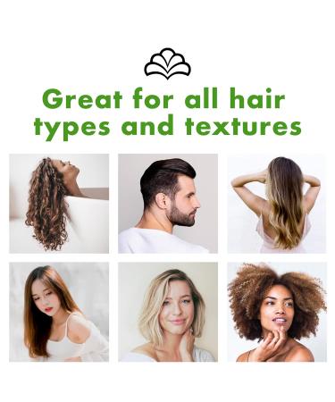 Agree Classic Shampoo & Conditioner Set - Original Fragrance 32oz | Moisturizes & Protects | Buy Internationally - Buy Online on GoSupps.com