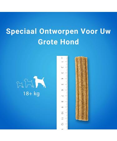 Purina DentaLife Maxi - Maxi Pack - Daily Oral Hygiene - 426 g - 12 Chew Sticks for Large Dogs - Pack of 5 - Buy Online on GoSupps.com