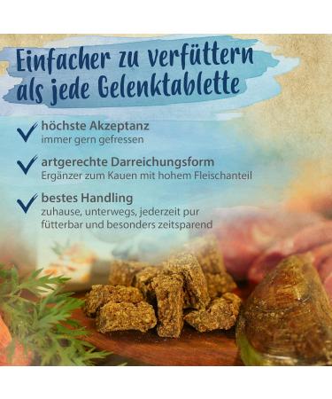 Ida Plus Sportsfreund - Joint Support for Dogs | Delicious Green Lip Shell Snacks for Mobility & Agility | 30-Day Supply - Buy Online on GoSupps.com