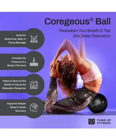 Tune Up Fitness Coregeous Ball for Psoas Release and Lower Back Massage - Graphite - Buy Online on GoSupps.com