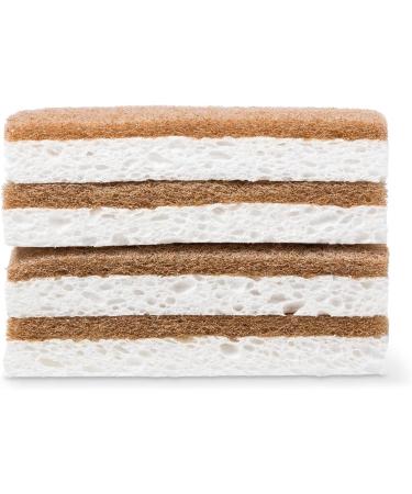Full Circle Walnut Shell Non-Scratch Scrubber Sponge - Pack of 3 - Buy Online on GoSupps.com