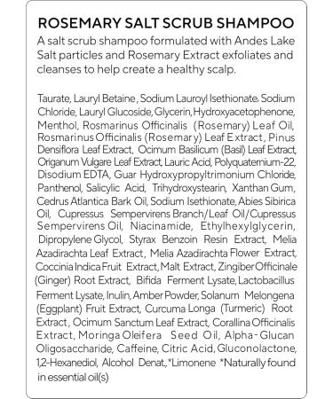 AROMATICA Rosemary Salt Scrub Shampoo Hair Loss Shampoo with Rosemary Scalp Oil Scalp Exfoliator with Salt Scrub for Oily Scalp | Sulfate Free - 10.5 Oz - Buy Online on GoSupps.com