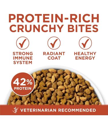 Purina ONE +Plus Dry Cat Food Healthy Weight Turkey - 1.8 kg Bag - Buy Online on GoSupps.com