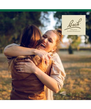 Bach Original Flower Remedies Holly - Goodwill Towards Others - Natural Homeopathic Flower Essence for Emotional Balance - Vegan Gluten Free Sugar Free - 20mL Dropper - Buy Online on GoSupps.com