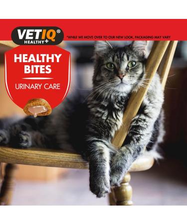 VetIQ Healthy Bites Urinary Care Cat Treats 8x 65g - Cranberry Supplement for Urinary Health - Cheese & Catnip Flavored Kitten Treats - Prebiotic Fibre for Cat Health - Buy Online on GoSupps.com