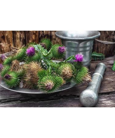 Health Embassy LTD Health Embassy Mariadistel Zaden Poeder Silybum Marianum L Milk Thistle Seeds Powder 200g - Buy Online on GoSupps.com