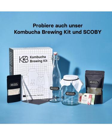 Roy Pure Prana Kombucha Bio - 12 x 330ml Vegan Gluten-Free & Lactose-Free | Handmade in Berlin - Buy Online on GoSupps.com