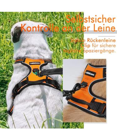 Rabbitgoo Medium Dog Harness - No Pull Adjustable Breathable Control & Safety | Perfect for Large Dogs - Orange - Buy Online on GoSupps.com