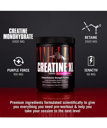 Animal Creatine XL Powder with PurpleForce & Senactiv - Enhanced Creatine Monohydrate Supplement for Endurance and Recovery - Watermelon Flavor - 9.84 oz - Buy Online on GoSupps.com
