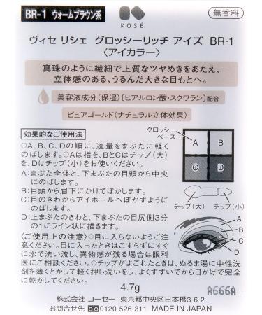 Visse Richer Glossy Rich Eyes BR-1 / Eye Shadow by Kose - Buy Online on GoSupps.com