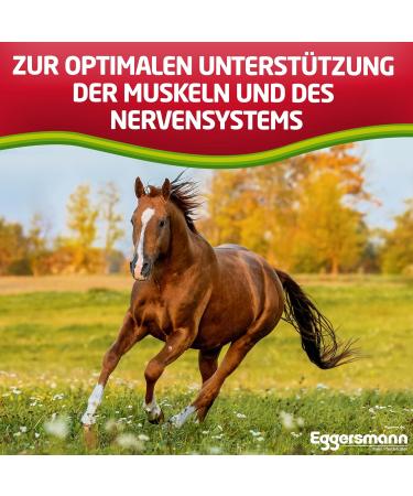 Buy EGGERSMANN Professional Magnesium Horse Feed - 4 kg Supplement for Muscle Support & Relaxation - High-Quality Magnesium Tryptophan & B Vitamins - Buy Online on GoSupps.com