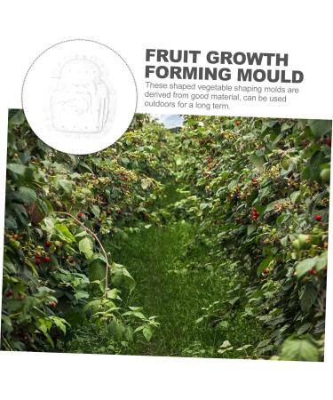 Yardenfun Fruit Shaping Mold Ginseng Cucumbers Multi-use Fruits Mold Vegetable Growing Mold Small Fruit Gourd - Buy Online on GoSupps.com