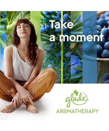 Glade Aromatherapy Reed Diffuser - Refreshing Energy Essential Oils with Rosemary & Juniper 80ml - Buy Online on GoSupps.com