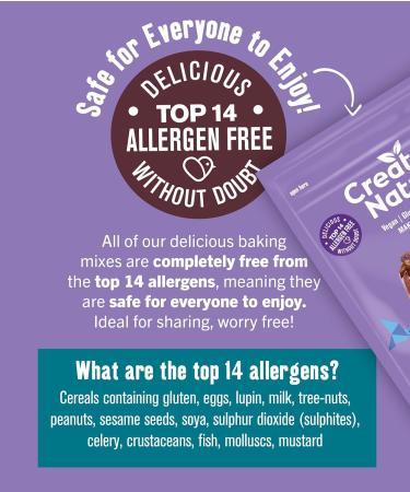 Creative Nature Gluten Free Cake Mix | Chocolate Cake | Vegan & Free From Baking Mix | Gluten Free Nut Free Dairy Free & 100% Allergen Free | 300g Chocolate Cake Mix - Buy Online on GoSupps.com