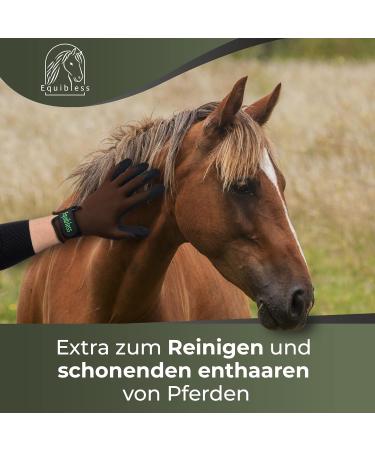 EQUIBLESS Coat Care Glove - Essential Tool for Horse Coat Care & Shedding Aid - Buy Online on GoSupps.com