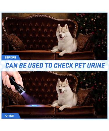 Mudder UV Torch 2 Pieces 9 LED Blacklight Detector Handheld Pocket Portable Black Light Torches Mini Flashlight Pet Urine Detectors for Dog Cat Bed Dry Stains Battery Not Included (Mini Lampe-2909) - Buy Online on GoSupps.com