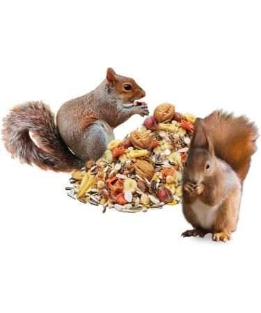 Paul's M hle Squirrel Food Gourmet 10 kg | Premium Nutritious Mix for Squirrels - Fast International Shipping - Buy Online on GoSupps.com