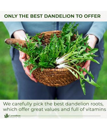 Lavendium Premium 50g (1.76oz) Dandelion Root Powder 100% Natural and Pure from Dandelion Root No Additives No Gluten No Sugar Vegan - Buy Online on GoSupps.com