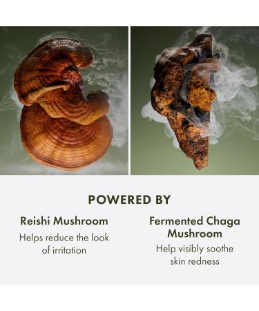 Origins Mega-Mushroom Overnight Recovery Skin Barrier Cream | For Deep Overnight Hydration & Reduced Visible Redness | With Reishi Mushroom Fermented Chaga Mushroom & Evening Primrose 1.7 Fl Oz - Buy Online on GoSupps.com