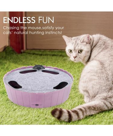 Buy Pawaboo Electric Mouse Cat Toys - Interactive Kitten Play Safe Scratch Mat & Chew Balls in Violet Taro - Buy Online on GoSupps.com
