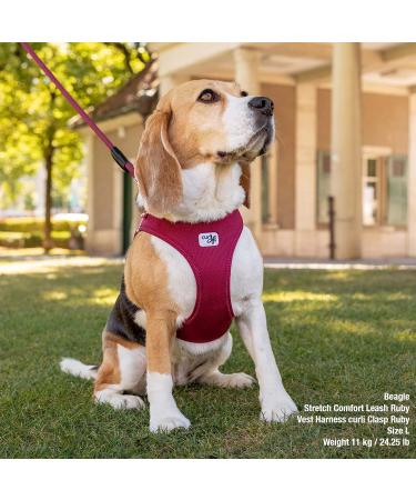 Curli Vest Harness - Air-Mesh Moss L Gr n | Comfortable & Stylish Dog Harness for International Shipping - Buy Online on GoSupps.com