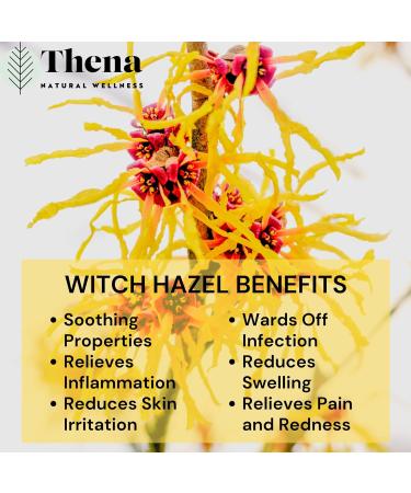 Intense Hemorrhoid Treatment Cream & Fissure Ointment - 100% Natural, Organic Lavender, Arnica, Witch Hazel - Fast Healing, Maximum Strength - Best with Thena Sitz Bath Soak - Buy Online on GoSupps.com