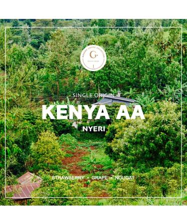 Organic Kenya AA Nyeri Reserve Green Coffee Beans - 3 lb - Specialty Arabica - Buy Online on GoSupps.com