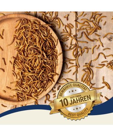 Buy Lyra PET 4 kg Mealworms - High-Protein Natural Food for Hamsters Rats & Mice | Rich in Vitamins & Minerals for Healthy Rodents - Buy Online on GoSupps.com