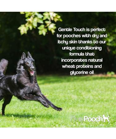 Pretty PoOch Gentle Touch Shampoo & Conditioner for Dogs | Non-Itchy Deep Cleaning for Sensitive Skin | 4L Baby Powder Fragrance - Buy Online on GoSupps.com