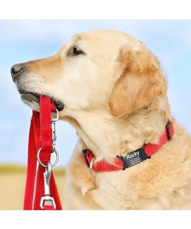 Personalized Gisurey Dog Tags with Engraving - Durable Silent Slide-On Stainless Steel for Dogs & Cats - Black (M: 2.0 cm) - Buy Online on GoSupps.com