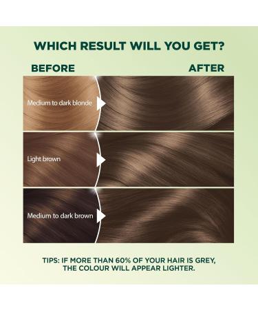 Garnier Nutrisse Ultra Cr me Permanent Hair Dye 100% Grey Coverage Vegan Formula Nourished Hair Long-Lasting Rich Colour 610 Light Ash Brown 1 Application Packaging May Vary BROWN SHADES 610 Light Ash Brown - Buy Online on GoSupps.com