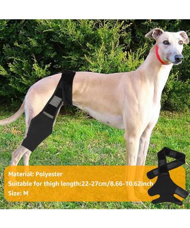 Dog Knee Brace Dog ACL Knee Brace Hind Leg Dog Leg Braces for Back Leg Cruciate Care Knee Brace for Supporting Dogs with Torn ACL Muscle Hind Leg Joint Discomfort (M) - Buy Online on GoSupps.com