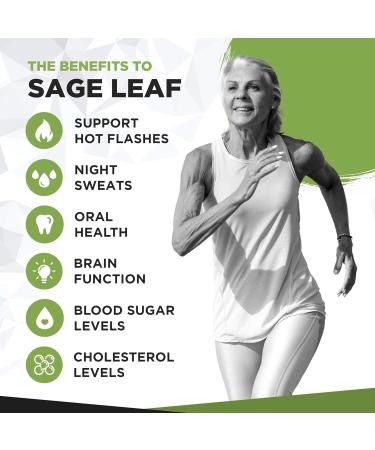 Sage Leaf Tablets for Menopause 2500mg - Supports Menopause & Perimenopause Symptoms | 120 Tablets Salvia Officinalis Vitamin Supplements - Buy Online on GoSupps.com