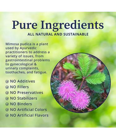 BioPure Mimosa Pudica Powder - 4oz | Organic Wildcrafted Formula for Gut Health & Microbiome Balance - Buy Online on GoSupps.com
