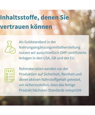 High Absorbable Vitamin B Complex - Methylated B Vitamins with Folate B6 B1 & B12 Vegan 180 Tablets - Igennus - Buy Online on GoSupps.com