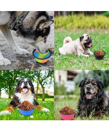 Buy Petbonus Foldable Dog Bowls - 2 Silicone Travel Bowls Leak-Proof & Portable Perfect for Water & Food - Blue & Green 1000ml - Buy Online on GoSupps.com