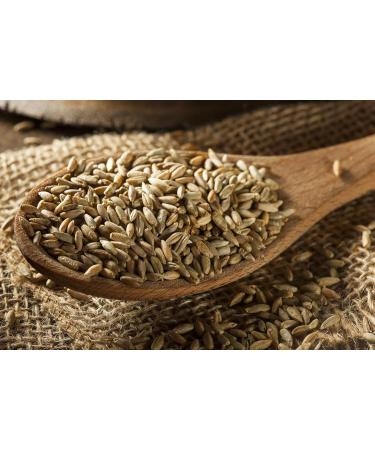 Organic Rye Grain 500g - Whole Grain, Vegan, Raw, GMO-Free - Ideal for Baking and Cooking - Thames Organic - Buy Online on GoSupps.com