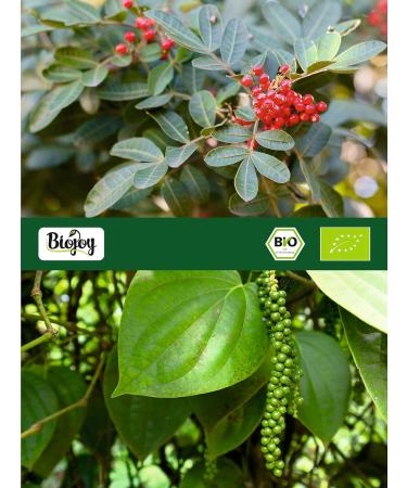 Buy Biojoy ORGANIC Colored Peppercorns (100g) - Premium Whole Pepper for Mills - International Shipping Available - Buy Online on GoSupps.com