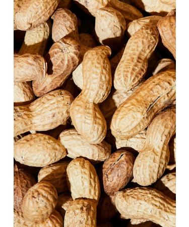 KoRo - Organic unshelled peanuts 1 kg - Roasted - Pure taste - Organic quality - Buy Online on GoSupps.com