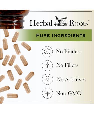 Herbal Roots Organic Reishi Mushroom Capsules - Made with Fruiting Bodies - Support Energy Vitality Immune & Heart Health - 60 Vegan Capsules - Buy Online on GoSupps.com