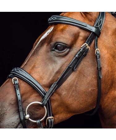 Buy HORZE Horse Bridle Sion - English Noseband & Reins in Black for Thoroughbreds - International Shipping Available - Buy Online on GoSupps.com
