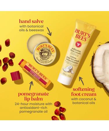 Burt's Bees Valentine's Day Gifts Ideas Tips and Toes Kit 6 Travel Size Products - Pomegranate Moisturizing Lip Balm 2 Hand Creams Foot Cream Cuticle Cream and Hand Salve Tips & Toes Set 6 Count - Buy Online on GoSupps.com