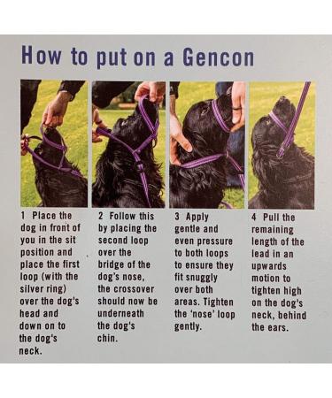 Gencon All-in-1 Headcollar and Lead Right-handed Blue/White - Buy Online on GoSupps.com
