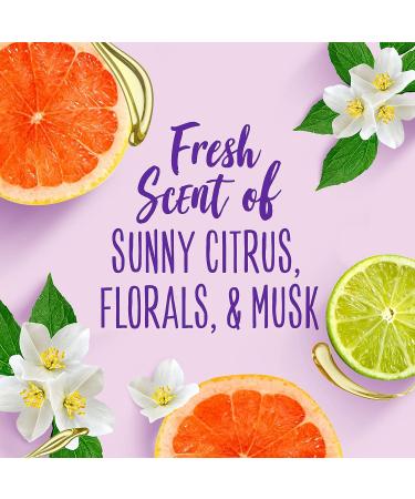 Aussie Leave-In Conditioner Spray Triple Pack with Jojoba & Sea Kelp 8 fl oz - 236ml x3 - Buy Online on GoSupps.com