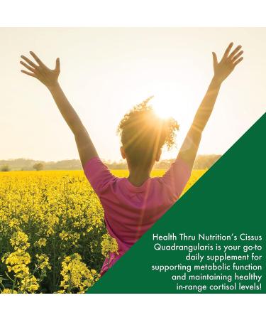 Health Thru Nutrition Cissus Quadrangularis 1000mg | Standardized 2.5% Phytosterols | Vegan, Non-GMO, Soy Free | 120 Capsules - Buy Online on GoSupps.com