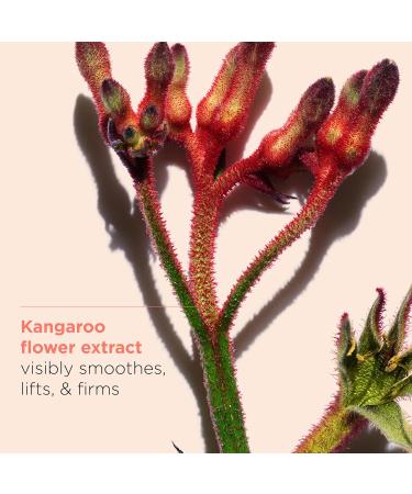 Clarins Extra-Firming Day Face Moisturizer with SPF 15 and Neck & D collet Bundle | Anti Aging Face Moisturizer with UVA/UVB Protection | Anti Aging Neck Cream | All Skin Types - Buy Online on GoSupps.com