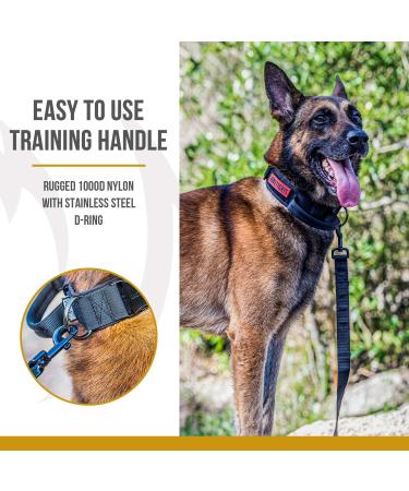 OneTigris XL Black Dog Collar with Metal Buckle | Durable & Stylish Dog Gear for Large Breeds - International Shipping Available - Buy Online on GoSupps.com
